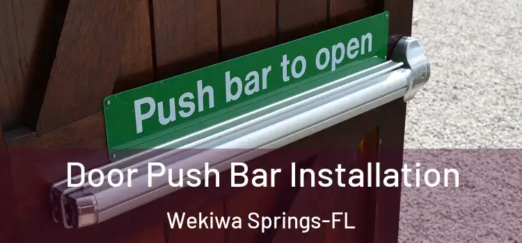  Door Push Bar Installation Wekiwa Springs-FL