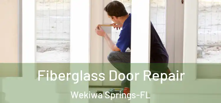 Fiberglass Door Repair Wekiwa Springs-FL
