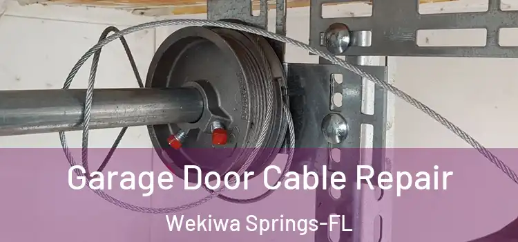 Garage Door Cable Repair Wekiwa Springs-FL