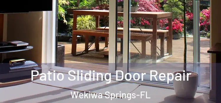 Patio Sliding Door Repair Wekiwa Springs-FL