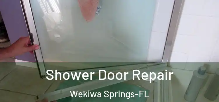 Shower Door Repair Wekiwa Springs-FL