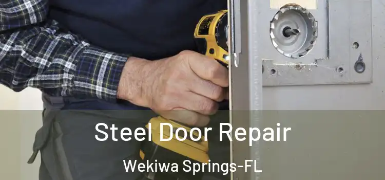 Steel Door Repair Wekiwa Springs-FL